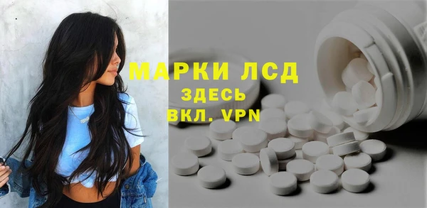 скорость Каменногорск
