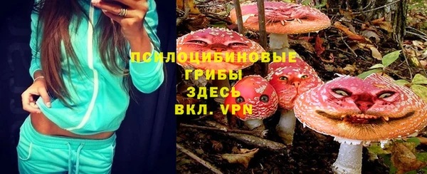 скорость Каменногорск