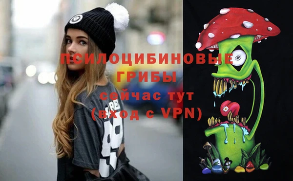 гидропоника Каменск-Шахтинский
