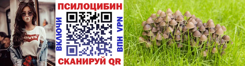 Галлюциногенные грибы мицелий  Купить где  Жуковка 